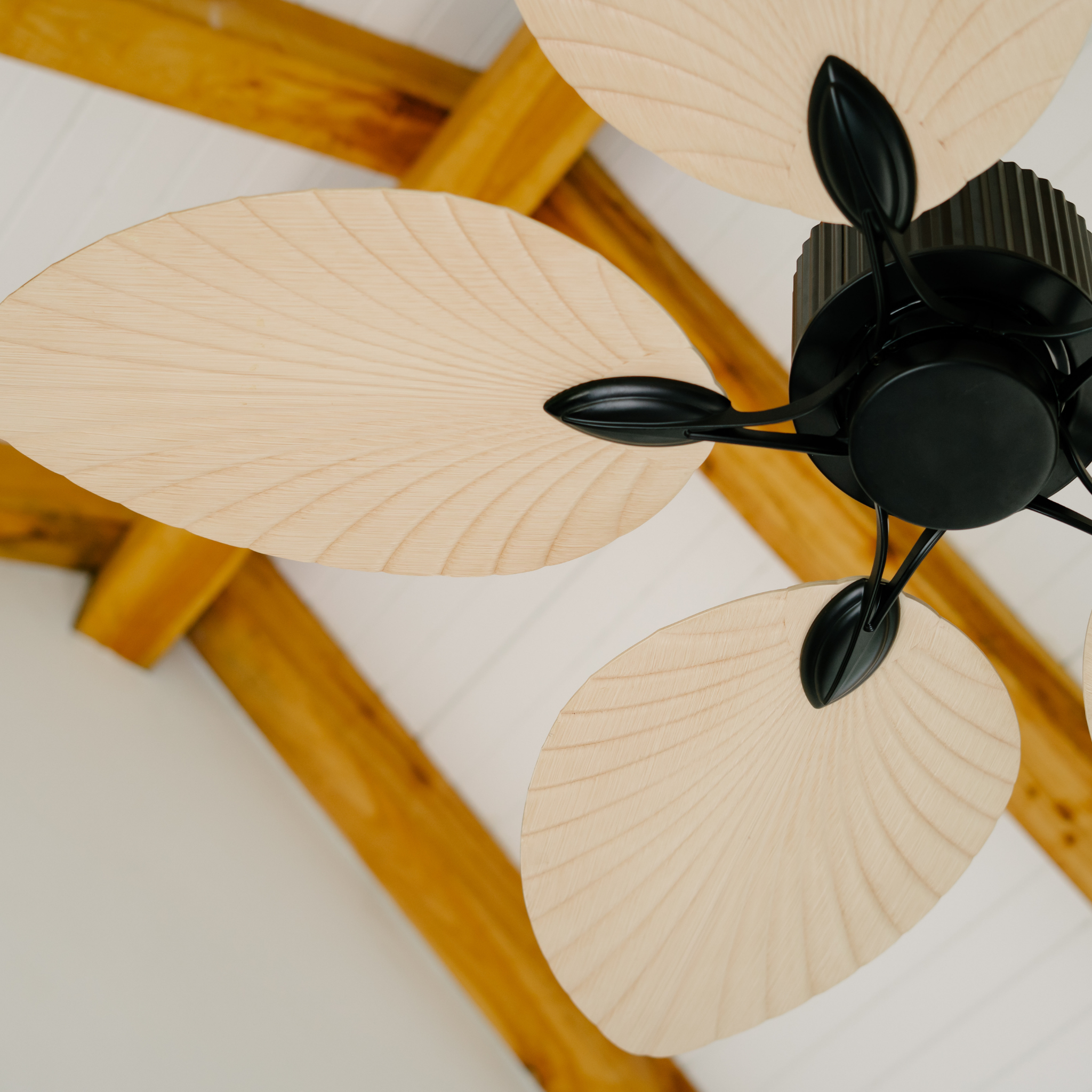 BORA CEILING FAN