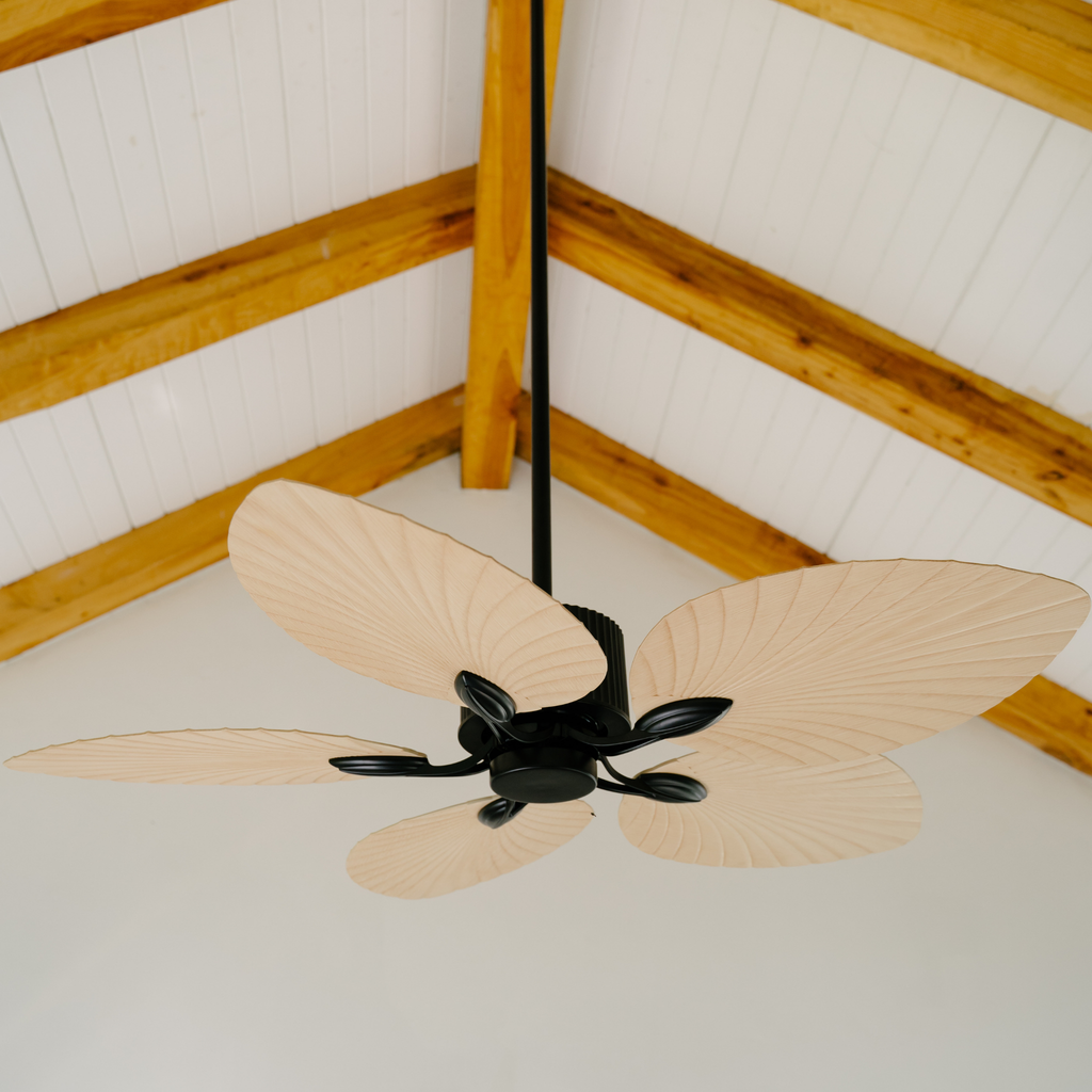 BORA CEILING FAN