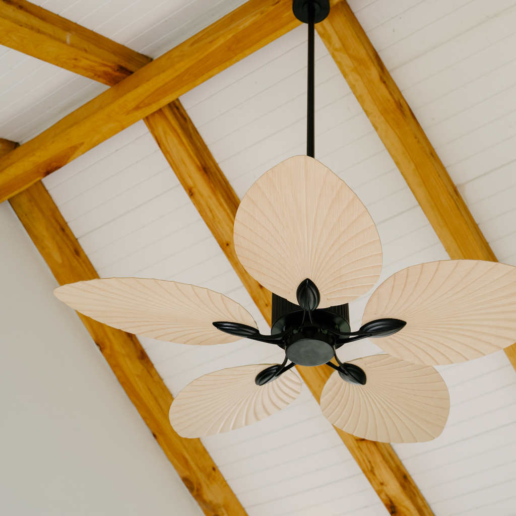 BORA CEILING FAN