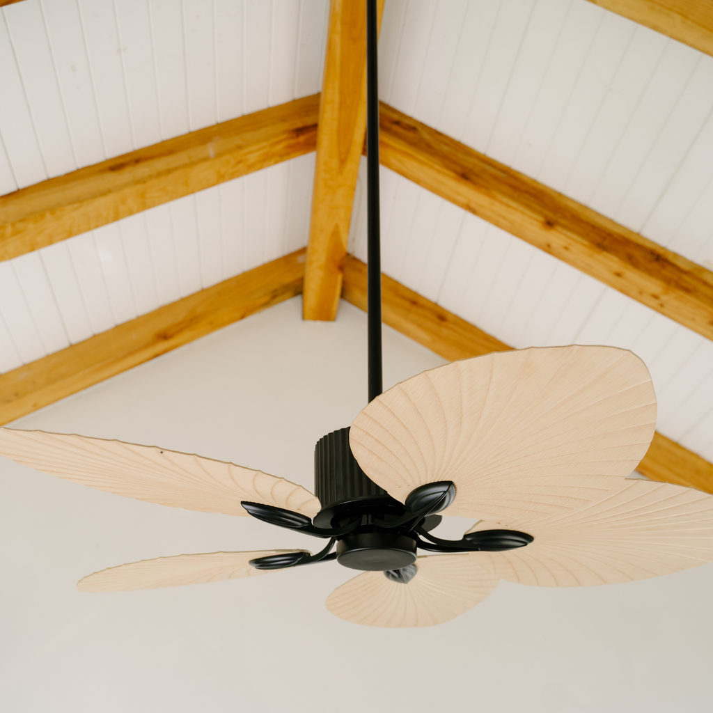 BORA CEILING FAN